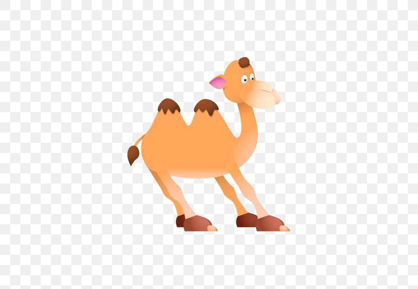 Bactrian Camel Cartoon Drawing Clip Art, PNG, 567x567px, Bactrian Camel, Arabian Camel, Beak, Camel, Camel Like Mammal Download Free