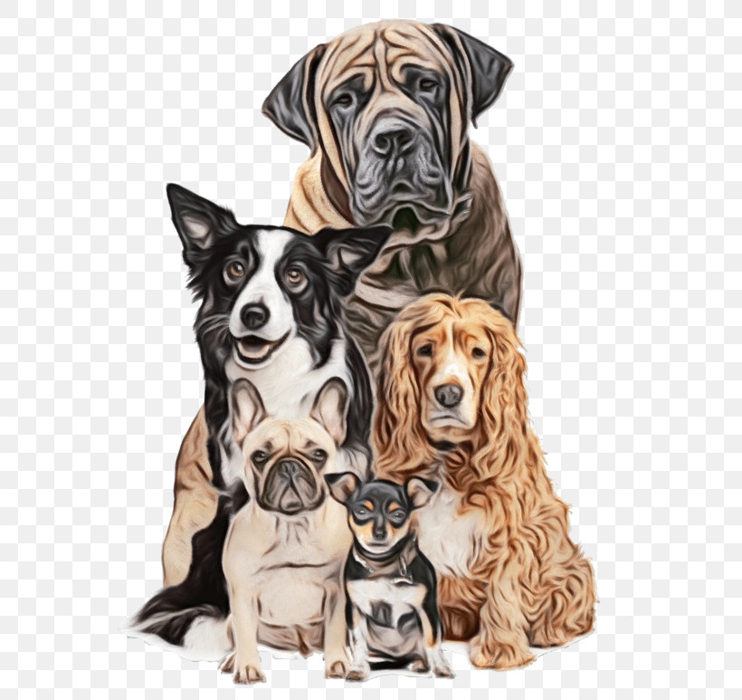 Dog Great Dane Ancient Dog Breeds Companion Dog Sporting Group, PNG, 640x773px, Watercolor, Ancient Dog Breeds, Companion Dog, Dog, Great Dane Download Free