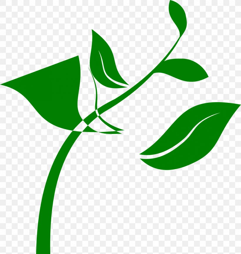 Seedling Plant Clip Art, PNG, 1213x1280px, Seedling, Artwork, Branch, Flora, Flower Download Free