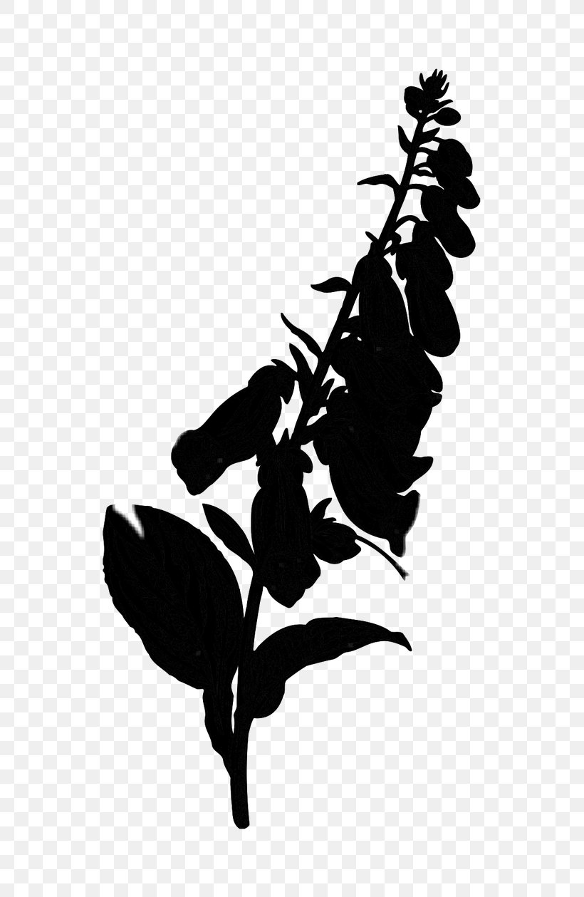 Silhouette Flower Leaf, PNG, 619x1259px, Silhouette, Blackandwhite, Botany, Branch, Flower Download Free