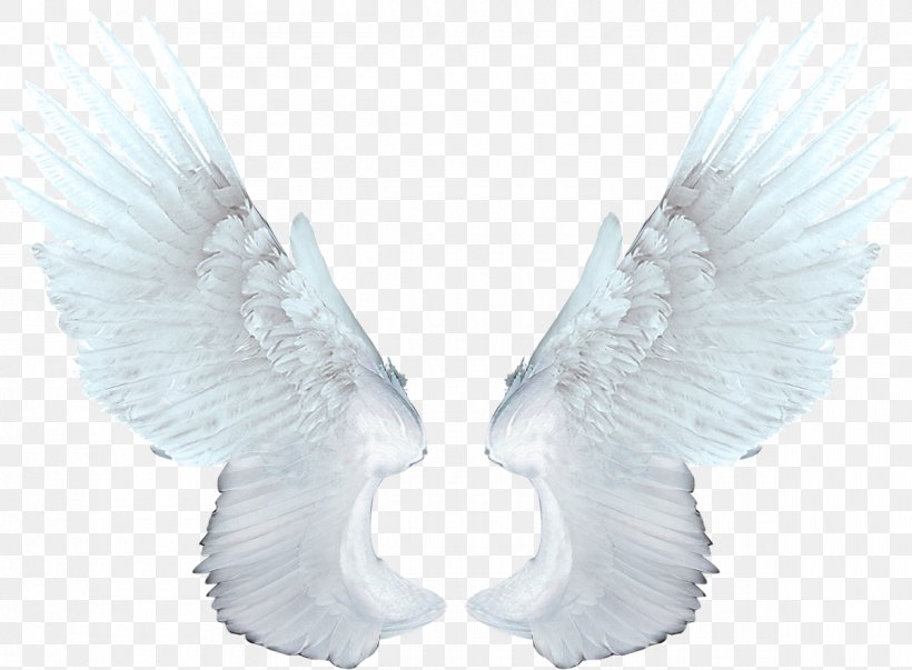 Wing Angel Raster Graphics Clip Art, PNG, 1200x883px, Wing, Angel, Art, Beak, Color Download Free