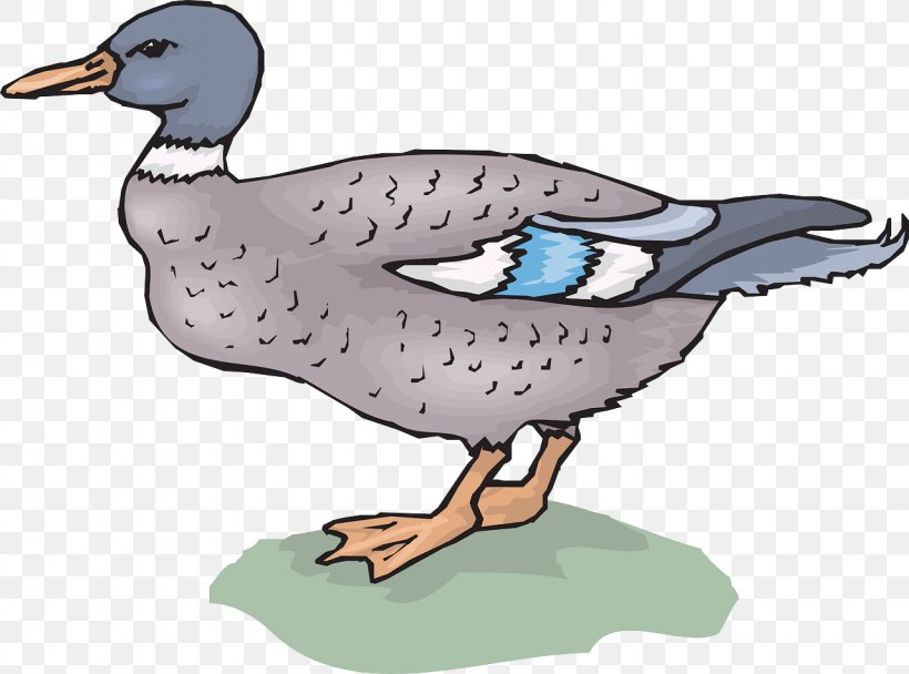 Mallard Duck Goose Clip Art, PNG, 1280x950px, Mallard, Beak, Bird, Duck, Ducks Geese And Swans Download Free