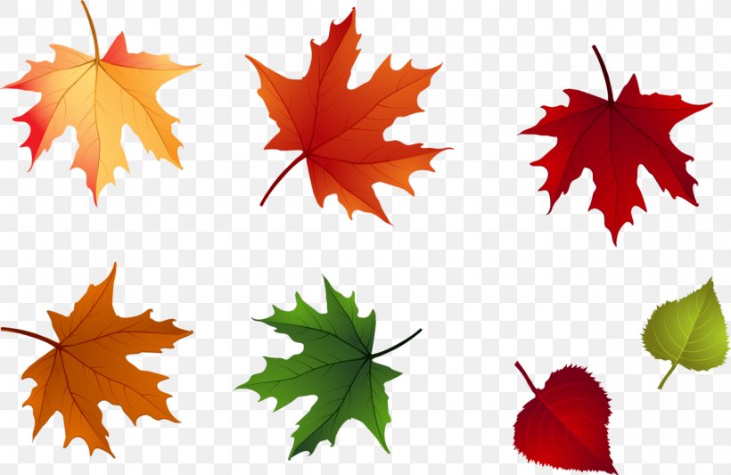 Maple Leaf Autumn Leaflet, PNG, 1280x832px, Leaf, Abscission, Autumn, Autumn Leaf Color, Branch Download Free