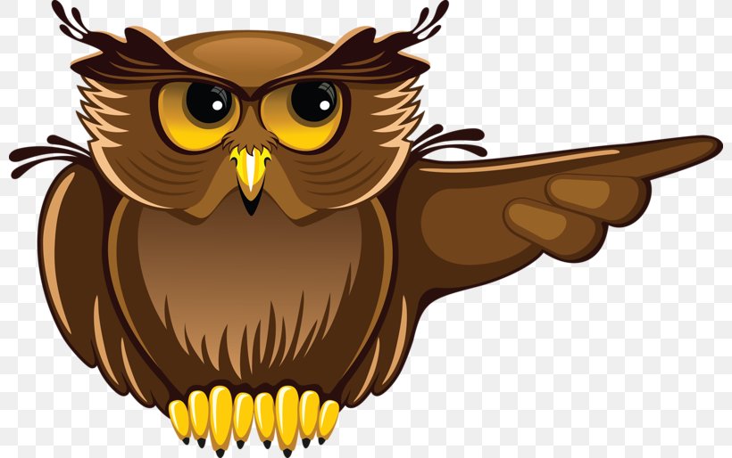 Owl Student Teacher Clip Art, PNG, 800x514px, Owl, Academic Degree, Beak, Bird, Bird Of Prey Download Free