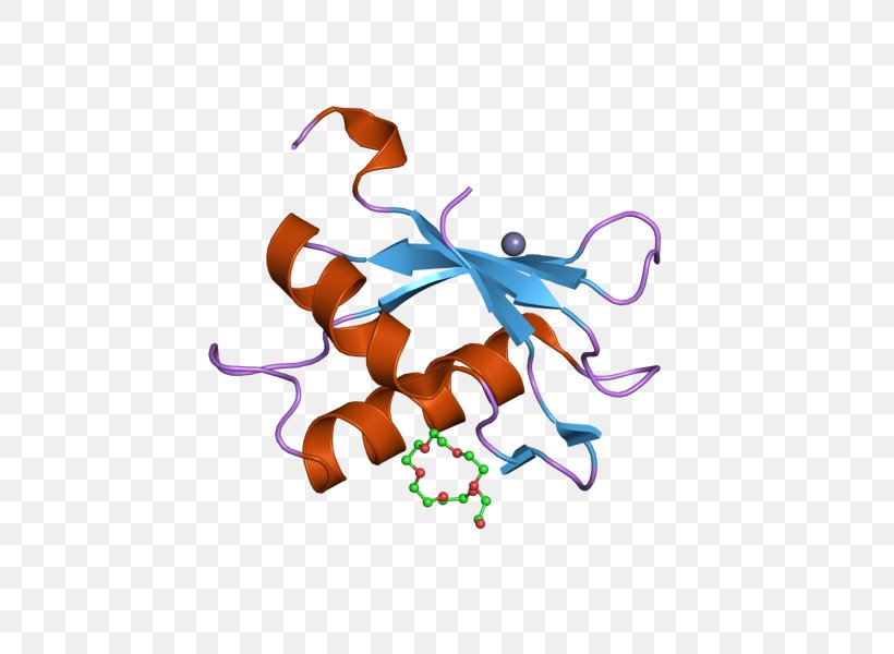 U2AF2 SnRNP RNA Splicing Splicing Factor Protein, PNG, 800x600px, Snrnp, Alternative Splicing, Animal Figure, Art, Fictional Character Download Free