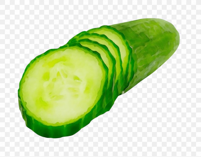 Vegetable Green Cucumber Plant Cucumis, PNG, 850x666px, Watercolor, Cucumber, Cucumber Gourd And Melon Family, Cucumis, Food Download Free