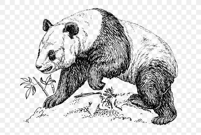Bear Cartoon, PNG, 700x550px, Giant Panda, Adaptation, Animal, Animal Figure, Art Download Free