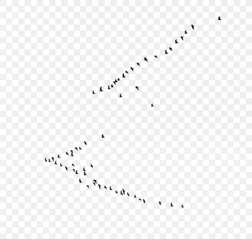 Bird Flock Clip Art, PNG, 917x871px, Bird, Animal Migration, Area, Beak, Bird Flight Download Free