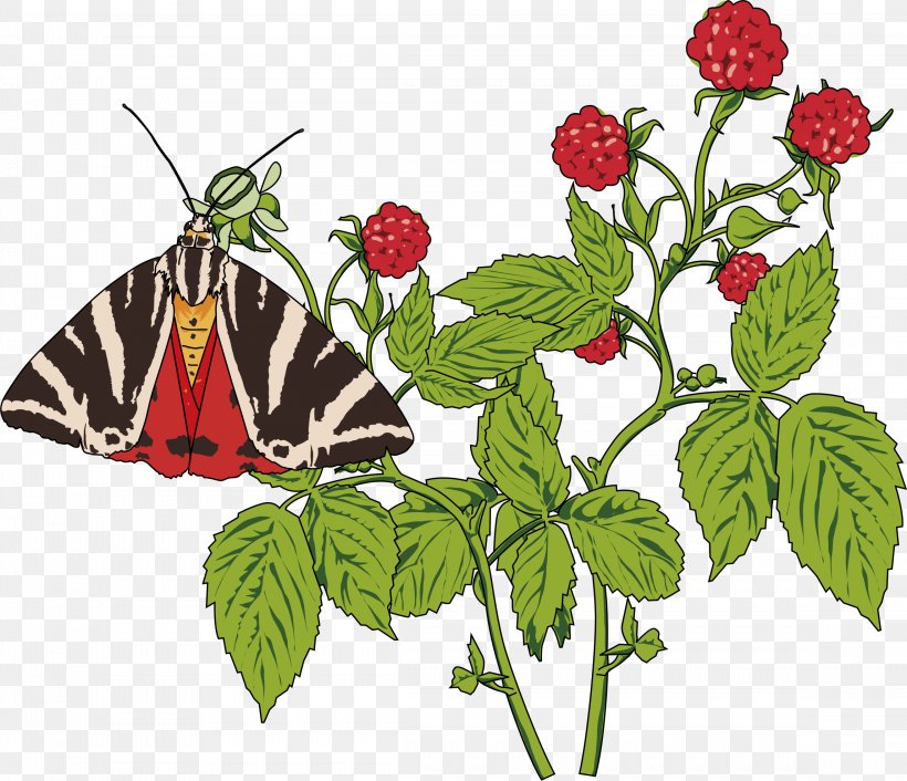 Butterfly Papillon Dog Drawing Clip Art, PNG, 2296x1978px, Butterfly, Brush Footed Butterfly, Butterflies And Moths, Drawing, Flora Download Free