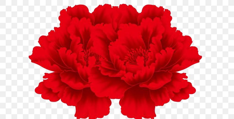 Flower Drawing Red Png 650x417px Flower Carnation Cut Flowers Drawing Floral Design Download Free