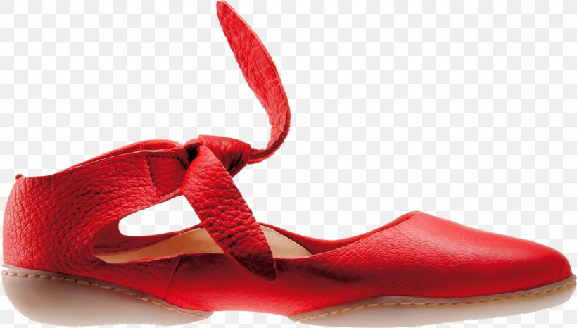 Footwear Shoe Patten Ballet Flat Leather, PNG, 1232x701px, Watercolor, Cartoon, Flower, Frame, Heart Download Free