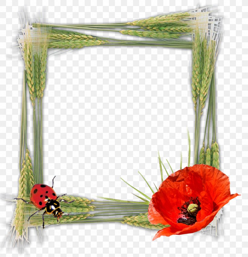 Picture Frames Photography Birthday Tableau, PNG, 1540x1600px, Picture Frames, Animation, Birthday, Floral Design, Flower Download Free