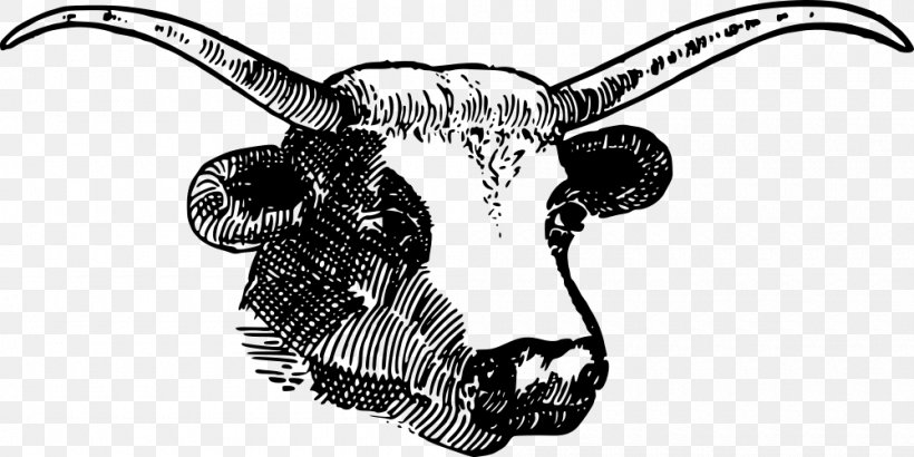 Texas Longhorn English Longhorn Angus Cattle Clip Art, PNG, 1000x501px, Texas Longhorn, Angus Cattle, Art, Artwork, Black And White Download Free