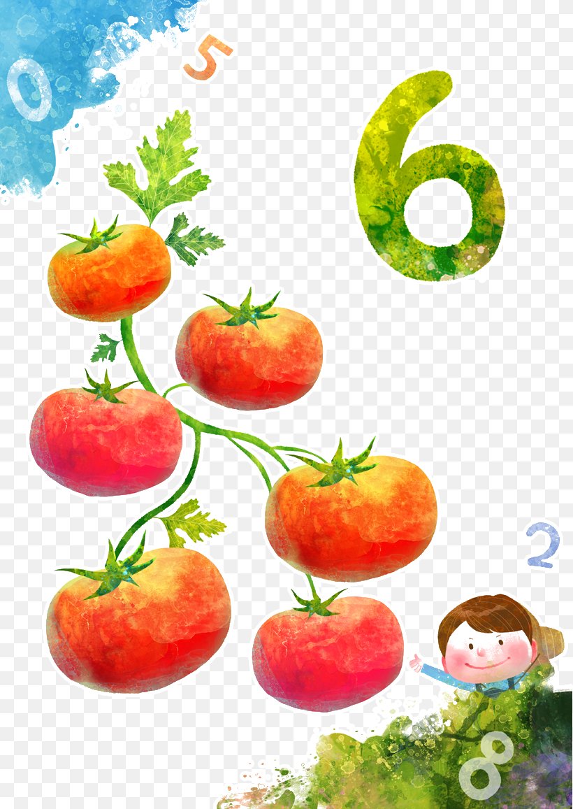 Watercolor Painting Cartoon Illustration, PNG, 819x1157px, Watercolor Painting, Apple, Art, Cartoon, Diet Food Download Free