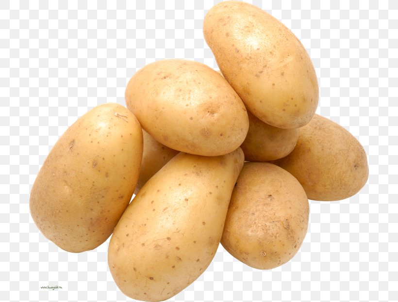 Baked Potato Bhurta Aloo Gobi Mashed Potato, PNG, 700x623px, Potato, Agria, Aloo Gobi, Baked Potato, Baking Download Free