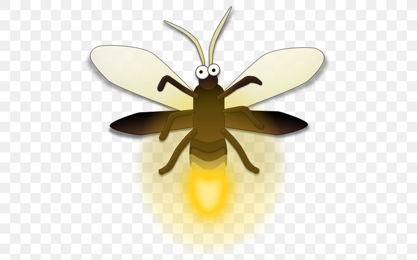 Bee, PNG, 512x512px, Bee, Arthropod, Fly, Insect, Invertebrate Download Free