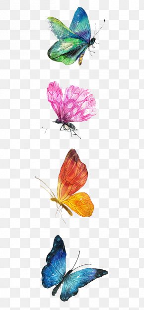 Butterfly Images, Butterfly Transparent PNG, Free download