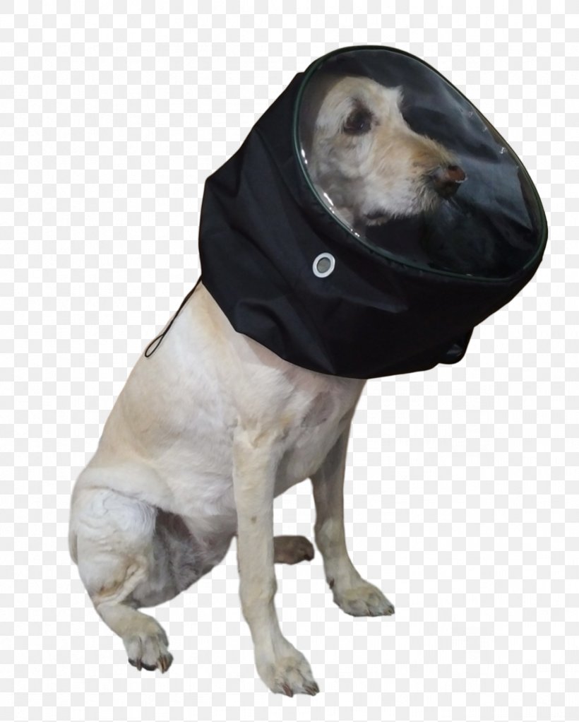 Dog Oxygen Mask Pet Cat Oxygen Therapy, PNG, 821x1024px, Dog, Cat, Dog Breed, Dog Clothes, Dog Collar Download Free