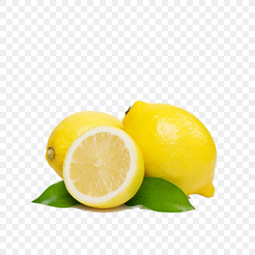 Lemon Lemon-lime Drink Lime Meyer Lemon Fruit, PNG, 1024x1024px, Lemon, Citron, Citrus, Citrus Fruit, Fruit Download Free