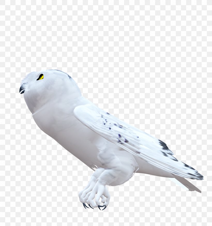 Owl Image Cartoon, PNG, 1500x1600px, Owl, Animal, Animation, Beak, Bird Download Free