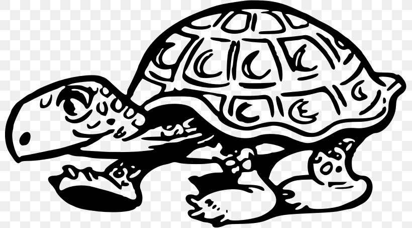 Turtle Tortoise Reptile Clip Art, PNG, 799x453px, Turtle, Art, Artwork, Black And White, Cartoon Download Free