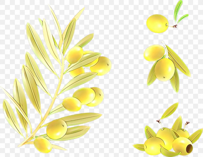 Yellow Plant Flower Clip Art Flowering Plant, PNG, 1280x994px, Cartoon ...