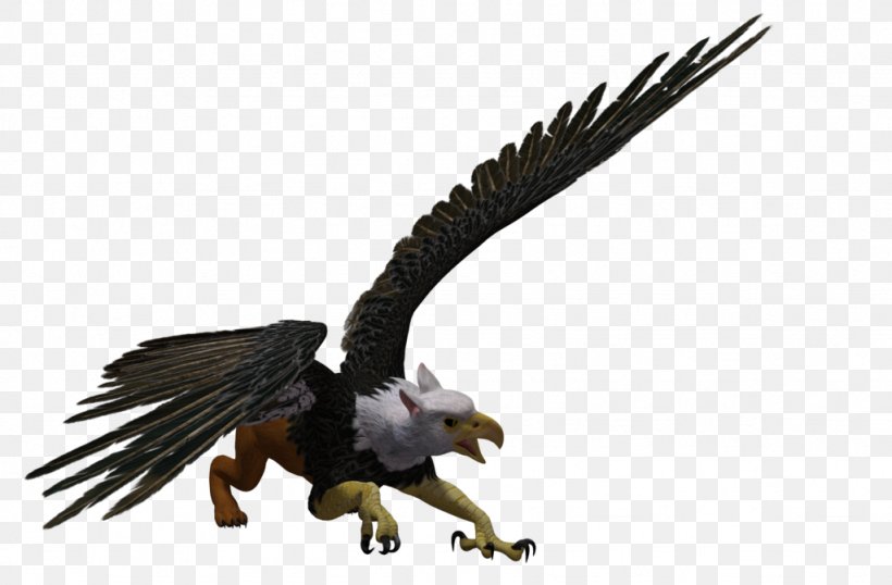 Bald Eagle Griffin Rendering DeviantArt, PNG, 1024x673px, 3d Computer Graphics, 3d Rendering, Bald Eagle, Accipitriformes, Animal Figure Download Free