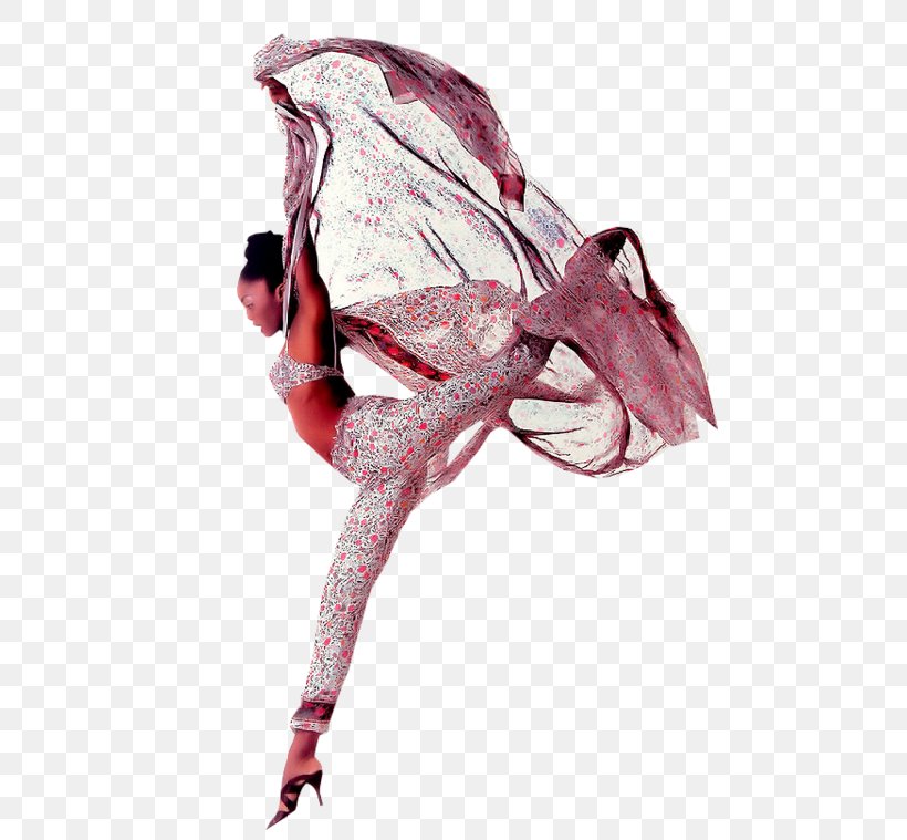 PhotoFiltre Dance, PNG, 500x759px, Photofiltre, Animation, Ballet, Ballet Flat, Blog Download Free