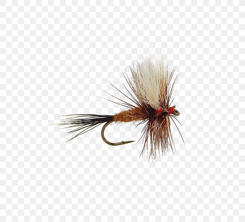 Artificial Fly Mayfly Fly Fishing Gray Fox Nymph, PNG, 555x741px, Artificial Fly, Fennec Fox, Fishing, Fishing Bait, Fly Download Free