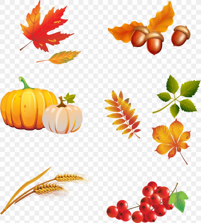 Autumn, PNG, 5119x5683px, Autumn, Cartoon, Cdr, Flower, Flowering Plant Download Free