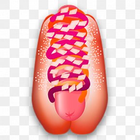 Burger Sandwiches - Hot Dog Sausage Icon PNG