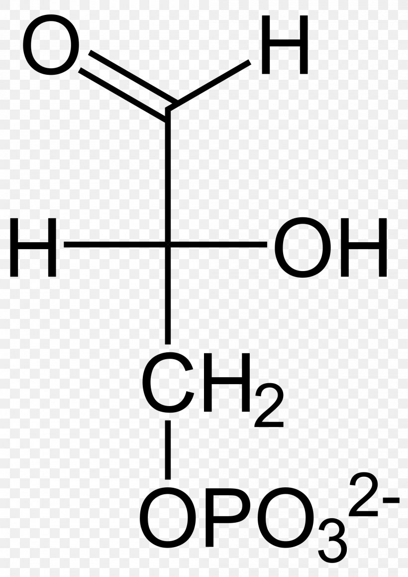 Pyruvic Acid Biochemistry Gluconic Acid Monosaccharide, PNG, 2000x2825px, Pyruvic Acid, Acetylcoa, Alcohol, Area, Biochemistry Download Free