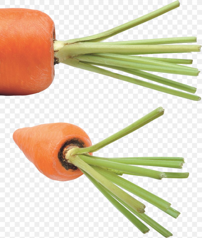 Carrot Vegetable Food Clip Art, PNG, 2975x3504px, Carrot, Daucus, Daucus Carota, Food, Produce Download Free