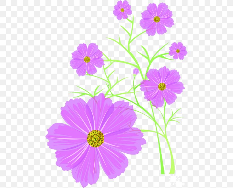 Cosmos Flower Download, PNG, 500x662px, Cosmos, Annual Plant, Archive File, Aster, Computer Download Free