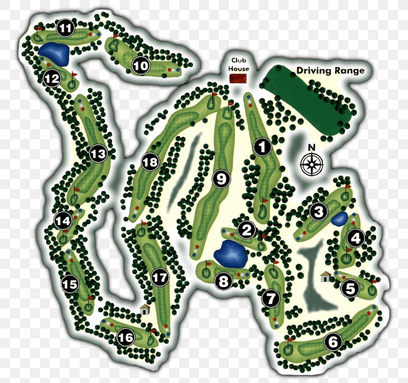 Golf Course Pinetop Country Club Wood, PNG, 770x770px, Golf Course, Area, Ball, Conservatism, Country Club Download Free
