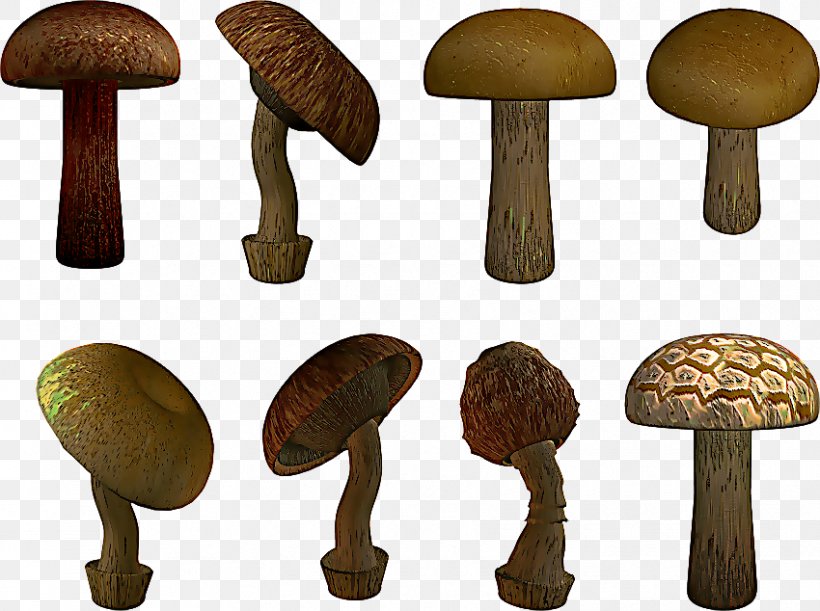 Mushroom Cartoon, PNG, 850x634px, Common Mushroom, Agaric, Agaricaceae, Agaricomycetes, Agaricus Download Free