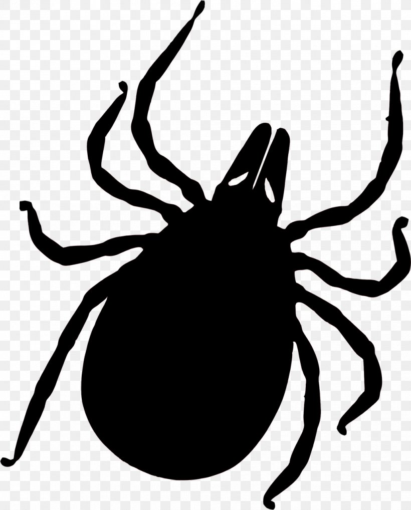 Tick-borne Disease Lyme Disease Deer Tick Insect Bites And Stings, PNG, 1031x1280px, Tick, Acari, Arthropod, Artwork, Black And White Download Free