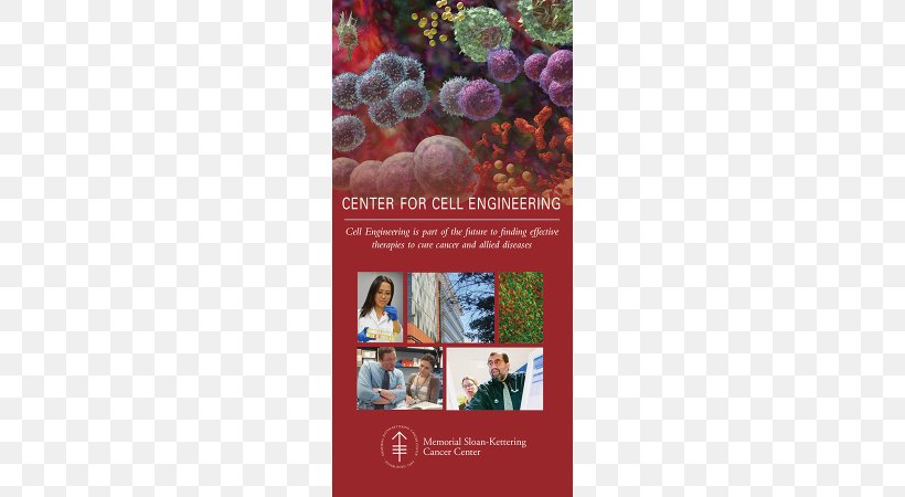 Brochure Art Cell Hematology, PNG, 600x450px, Brochure, Advertising, Annual Report, Art, Art Director Download Free