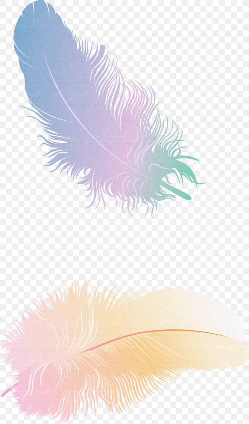 Feather Quill Animal, PNG, 1929x3278px, Feather, Animal, Quill, Wing Download Free
