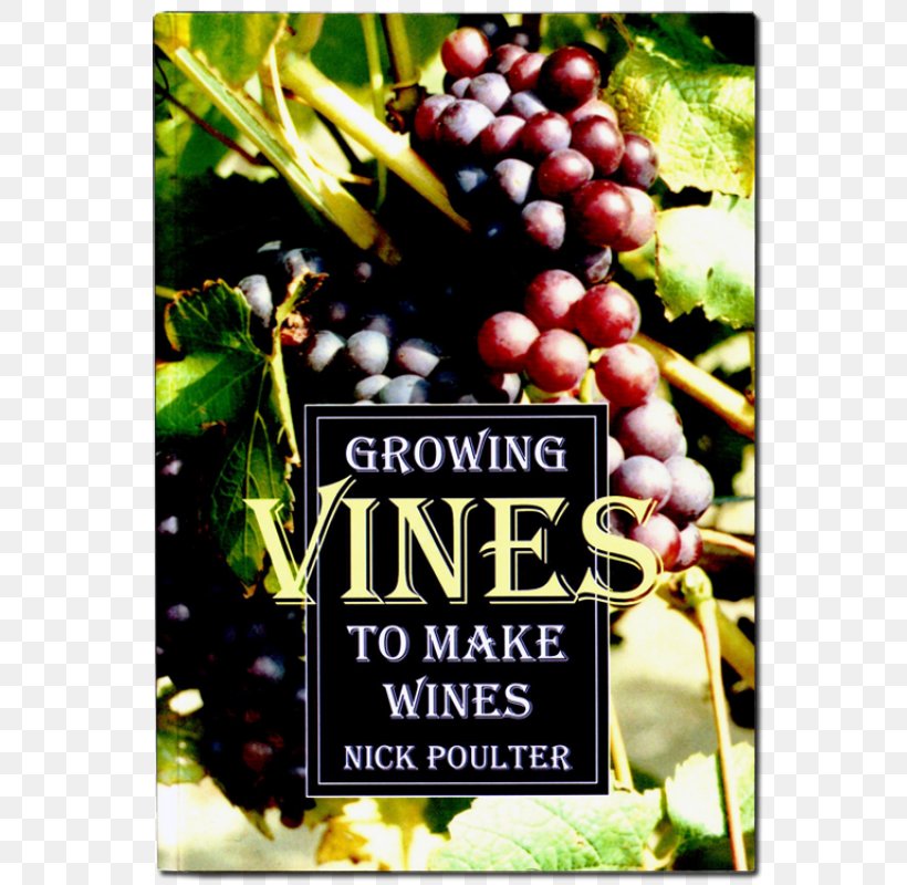 From Vines To Wines: The Complete Guide To Growing Grapes And Making Your Own Wine Growing Vines To Make Wines Common Grape Vine, PNG, 800x800px, Grape, Advertising, Book, Common Grape Vine, Food Download Free