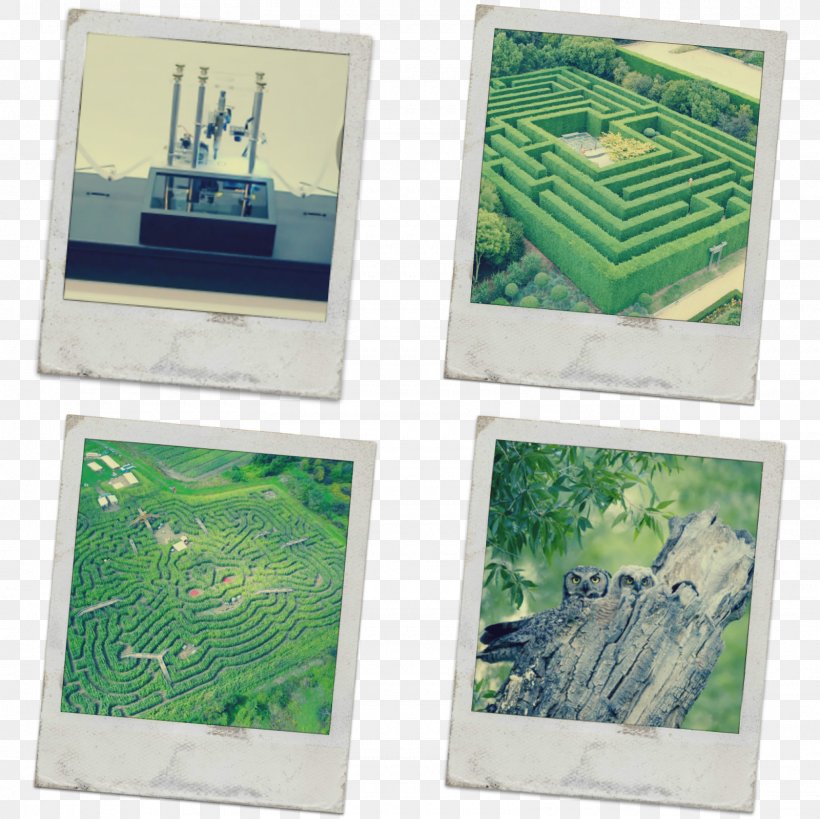 Garden Picture Frames Lawn Maze, PNG, 1600x1600px, Garden, Grass, Green, Lawn, Maze Download Free