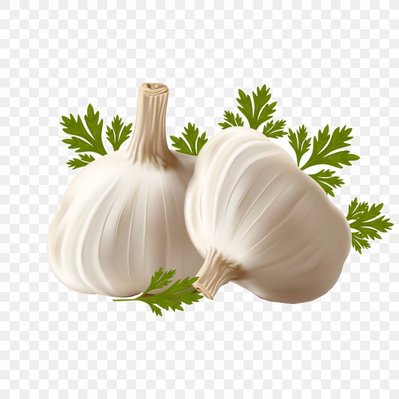 Garlic Breath Clip Art, PNG, 2953x2953px, Garlic, Allicin, Alliin, Alliinase, Doner Kebab Download Free