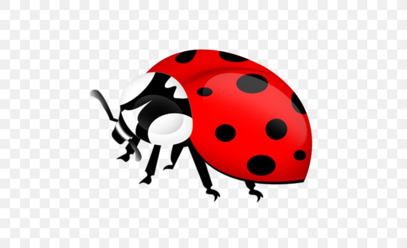 Ladybird Beetle Blog Insect Diary LiveInternet, PNG, 500x500px, Ladybird Beetle, Arthropod, Asian Lady Beetle, Atlas Moth, Beetle Download Free
