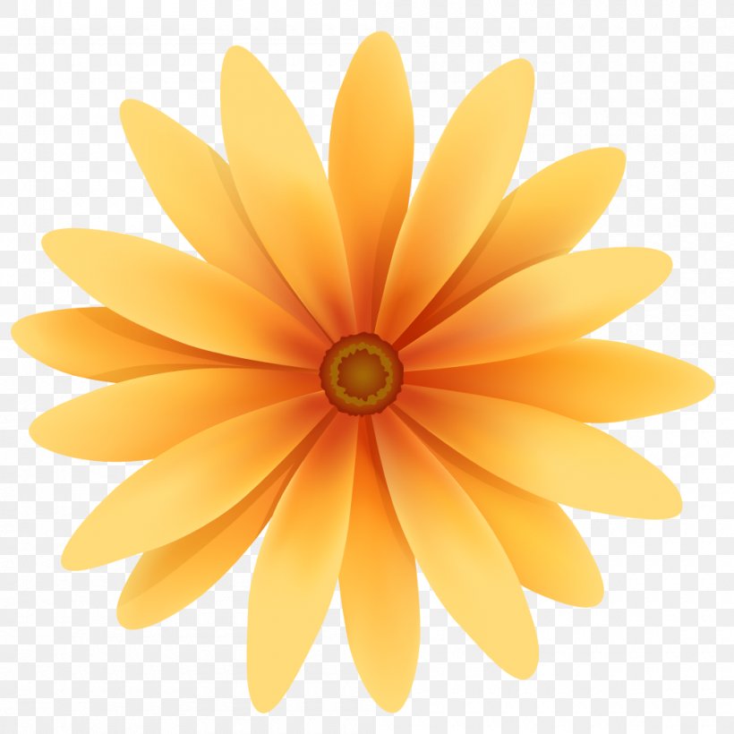 Vector Graphics Image Clip Art Stock Illustration Flower, PNG, 1000x1000px, Flower, Daisy Family, Floral Design, Orange, Painting Download Free
