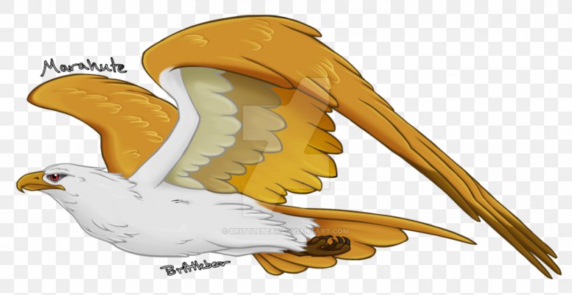 Marahute Fan Art Drawing Eagle, PNG, 1024x529px, Art, Beak, Bird, Bird Of Prey, Deviantart Download Free
