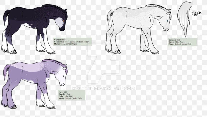 Mustang Pack Animal Mane Mammal Sketch, PNG, 1024x583px, Watercolor, Cartoon, Flower, Frame, Heart Download Free