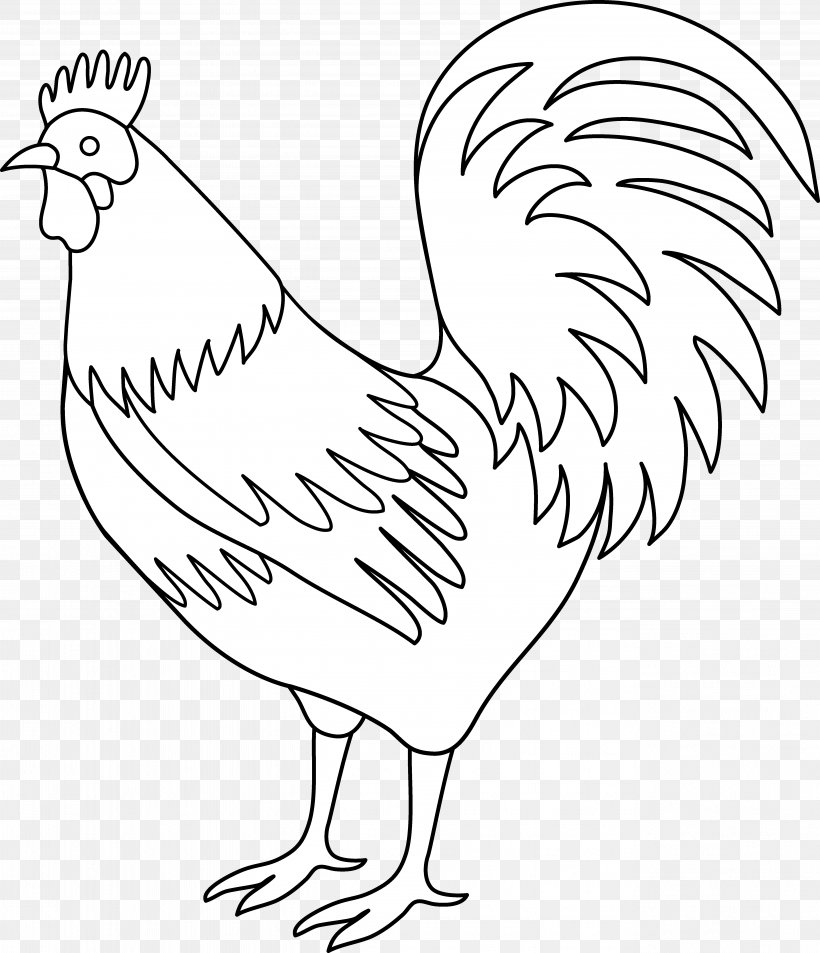 Plymouth Rock Chicken Rooster Black And White Clip Art, PNG, 5303x6167px, Plymouth Rock Chicken, Area, Beak, Bird, Black And White Download Free