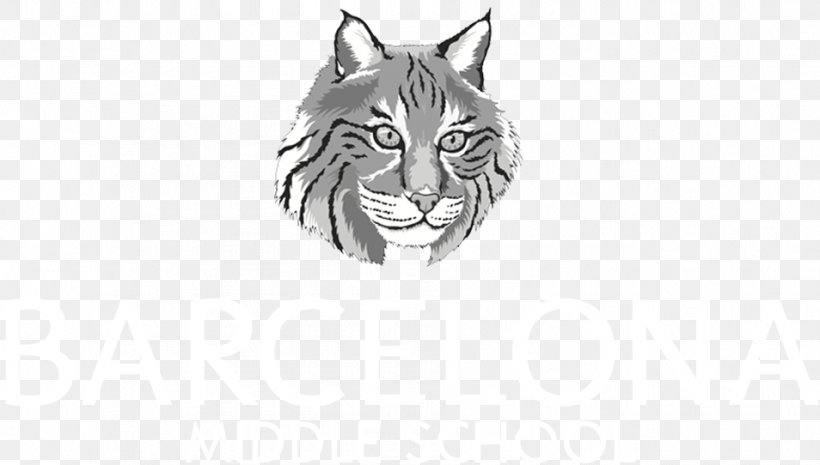 Tiger Cougar Whiskers /m/02csf Cat, PNG, 954x542px, Tiger, Big Cat, Big Cats, Black And White, Carnivoran Download Free