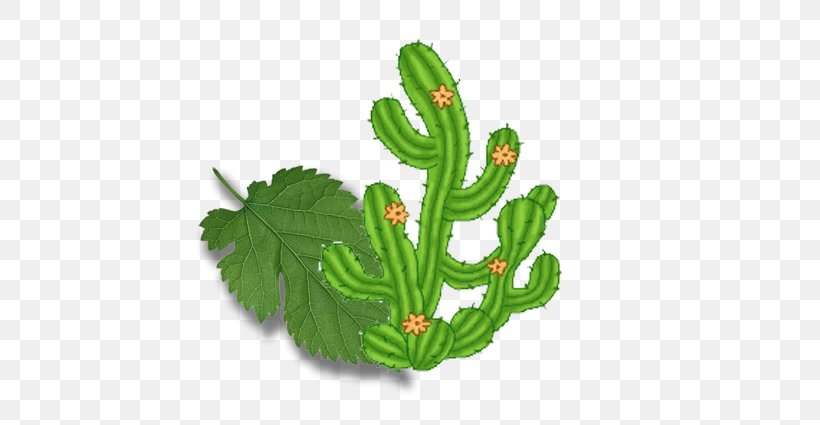 Yading Cartoon Cactaceae, PNG, 682x425px, Yading, Cactaceae, Caricature, Cartoon, Daocheng County Download Free