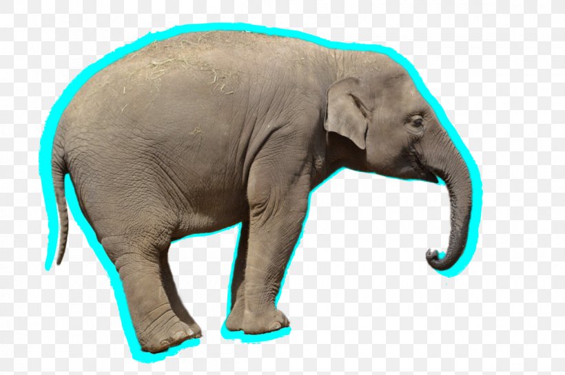 African Elephant Elephantidae Clip Art, PNG, 1200x798px, African Elephant, Asian Elephant, Clipping Path, Elephant, Elephantidae Download Free